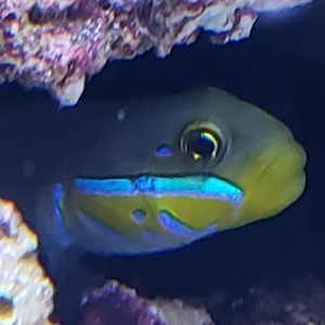 Meet your Posher, Terry